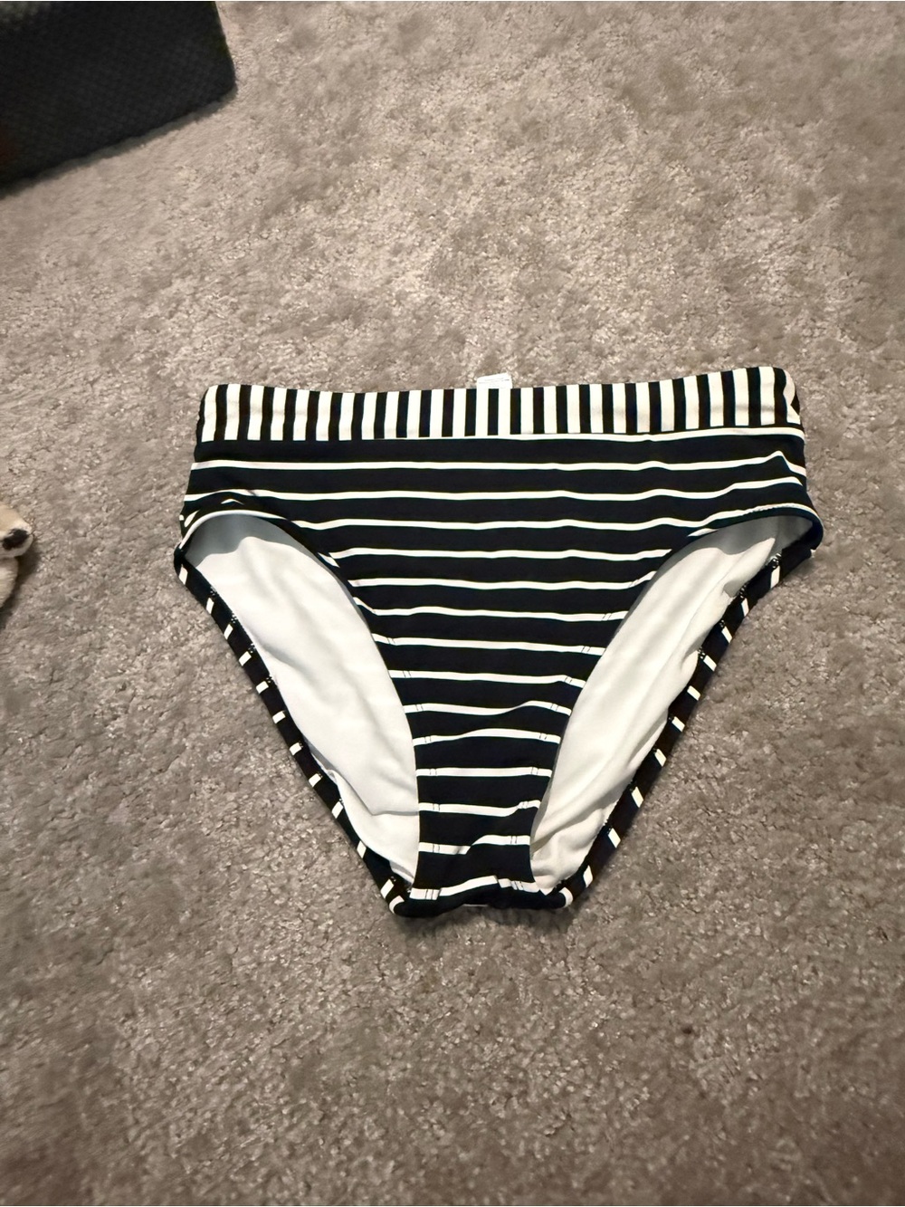 Freshwater White Swim Bottom with  Stripe Trim